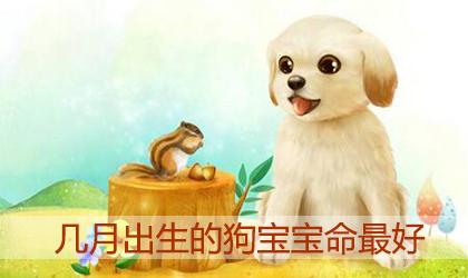 属狗的几月出生最好,属狗的12月出生好吗?