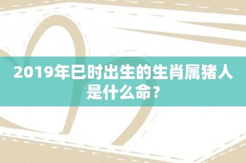 2019年属猪的是什么命,19年出生的猪五行属什么