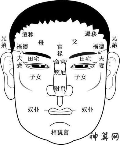 男人美人尖的面相学图解