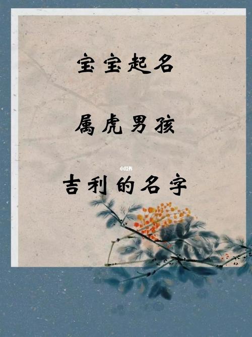 属虎宝宝取名的吉利字有哪些