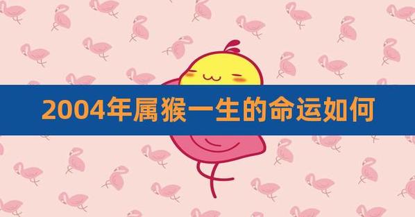 2004年属猴人一生的命运如何