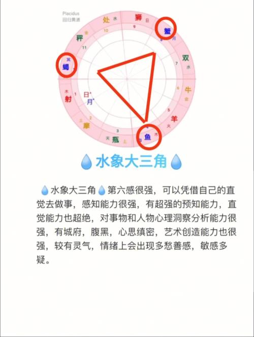 为啥风象星座老是吸引土象