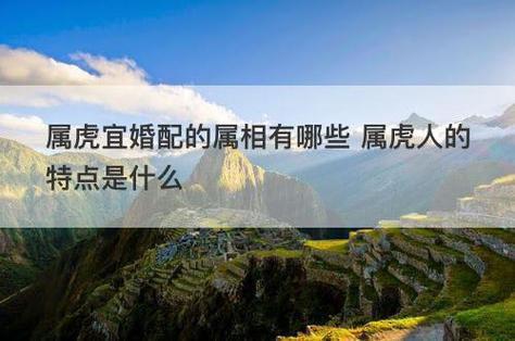 属虎的人不宜和什么属相结婚
