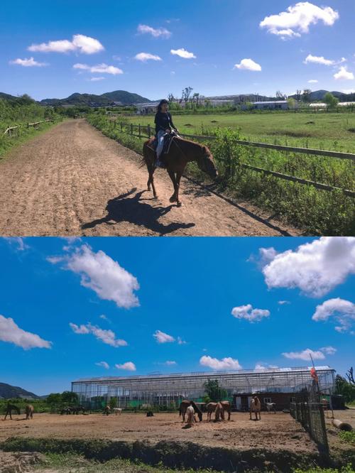 确认过眼神,这些生肖定会牢牢抓住你