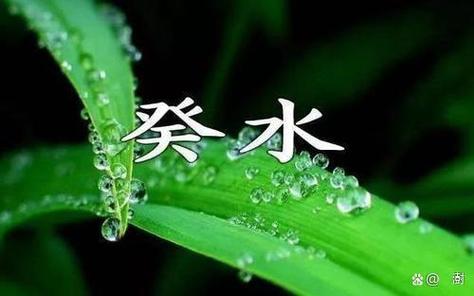癸水最好的大运