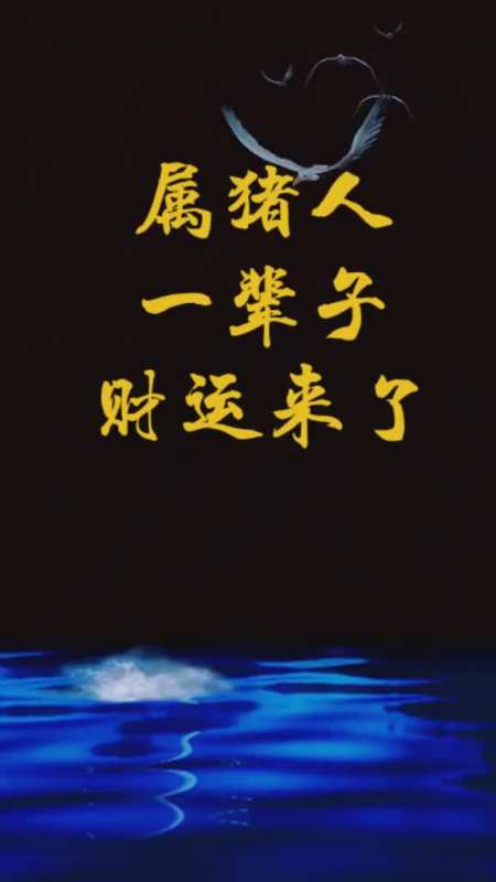 2019年5月属猪财运事业运势,酒肉朋友不可信