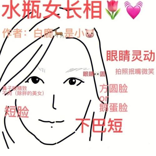 水瓶女的缺点是什么?自命清高不爱解释吗?