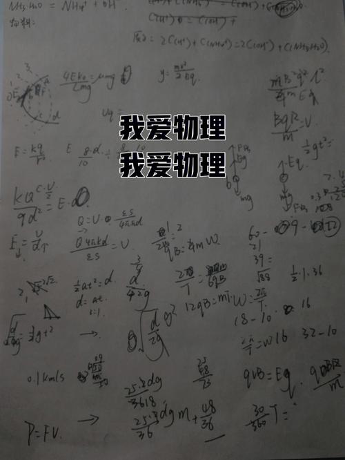 数理化,属羊最喜欢哪门学科