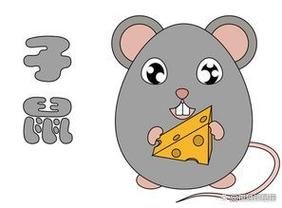 这些生肖觉得单身是种享受