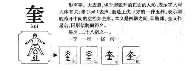 奎字在姓名学的含义是什么