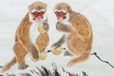 属猴人离不开的两个贵人是谁