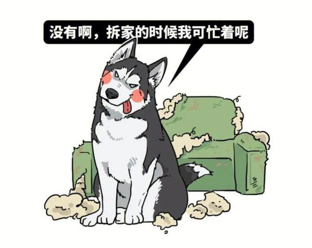 白天疲惫不堪 夜晚精力旺盛的四大生肖