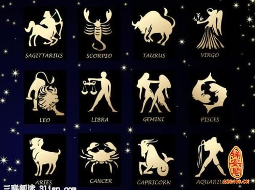 任何时候都追求外貌至上的四大星座