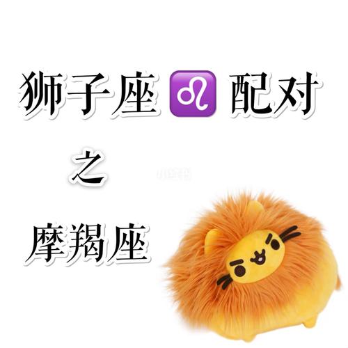 摩羯座和狮子座