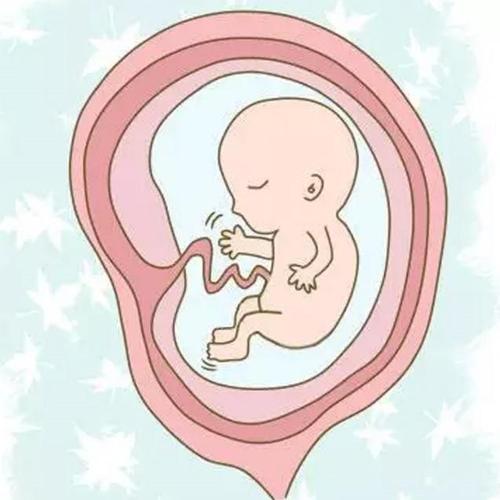 梦见孩子在肚子里翻滚