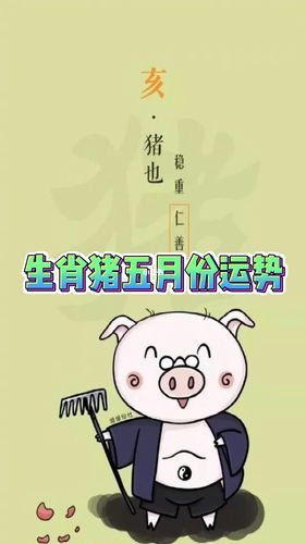 属猪的本月运势