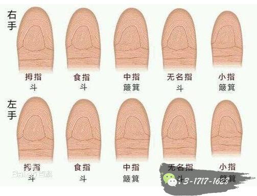 十指全是斗的是帝王命吗