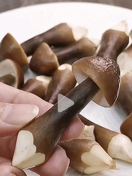 孕妇梦见自己摘野生菌是什么预兆