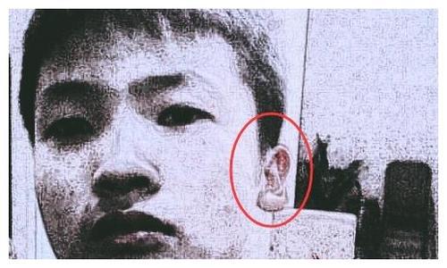 耳朵长毛是长寿的象征吗?