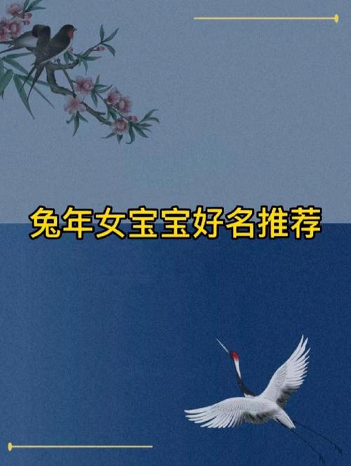 张姓兔年女宝宝名字
