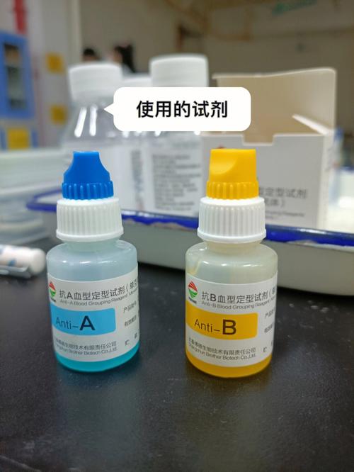 怎样检测血型