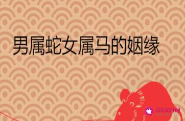 属蛇人婚配宜忌属相