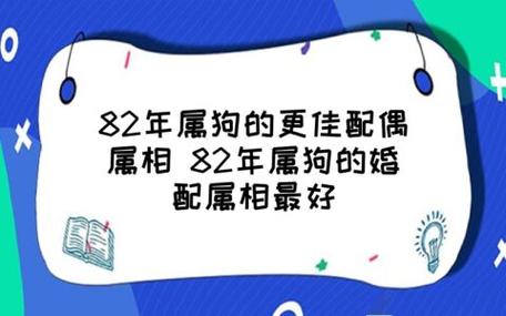 1982年属狗女的最佳配偶