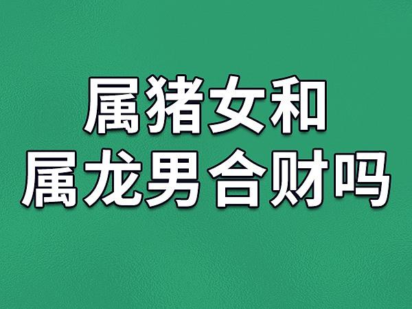 属龙的和属猪的八字合财吗