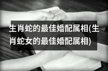 和属蛇女谈恋爱需要注意什么
