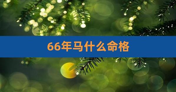 1966年出生的属马人2022年全年运势详细解析