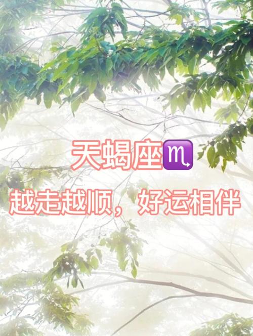天蝎爱上谁会走好运