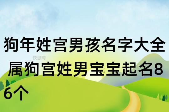 宫姓狗年男宝宝名字