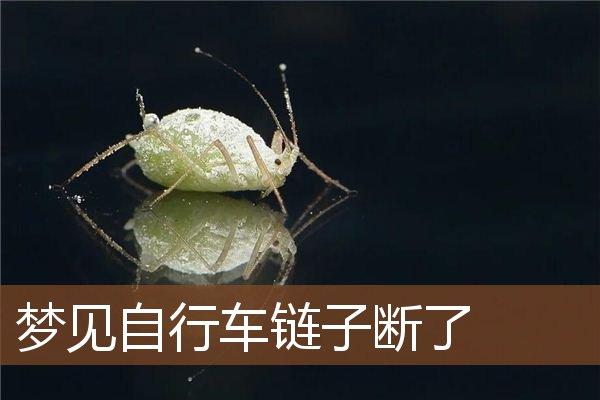 梦见自行车链子断了