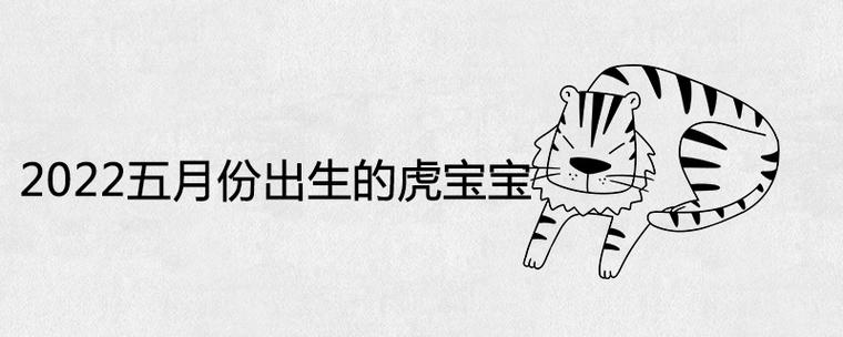 2022年五月初六出生的虎宝宝