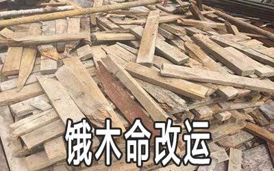饿木命人忌讳做什么