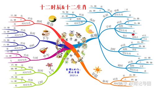 哪些生肖具备高效的思维运行能力