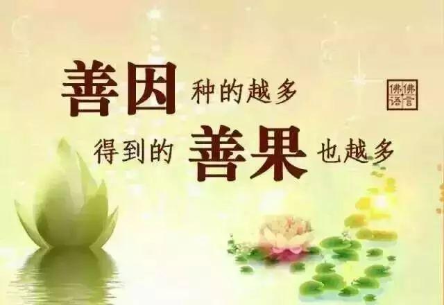 什么八字的人有善心