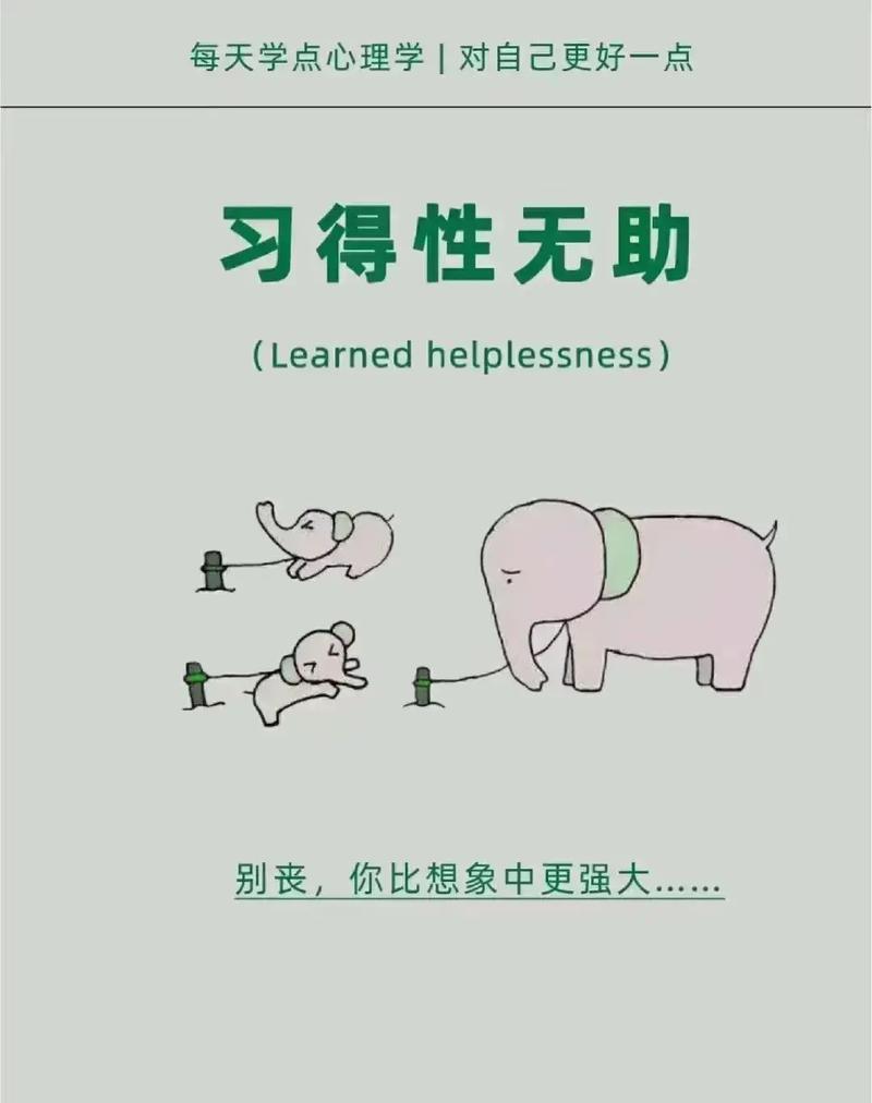 受到挫折时 属马女会怎么办