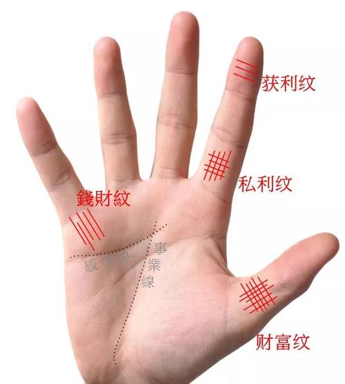 什么样的手纹有财运