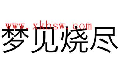 梦见烧尽表示什么？