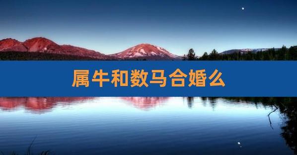 属牛和属马合婚吗