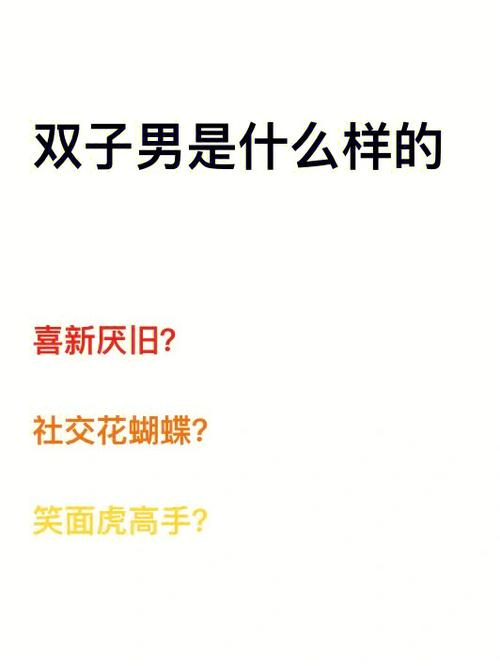 双子男的梦中情人什么样的