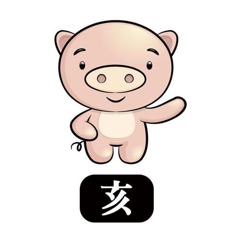 属猪B型血