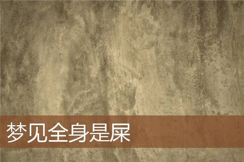 梦见浑身是屎 周公解梦之梦到浑身是屎