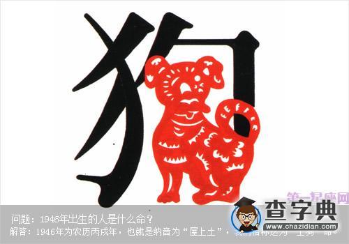 2018年农历初九出生的生肖狗宝宝好命吗?运气非凡?