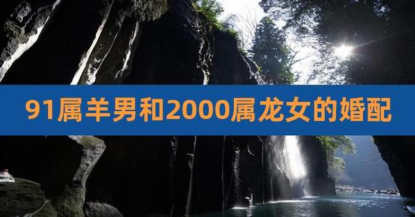 91年女羊和88年男龙合不合