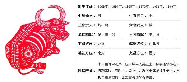 喜欢单身的生肖排名