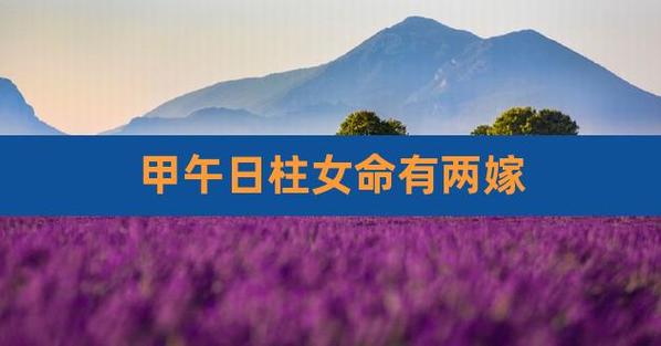 甲午日女命是女夫人