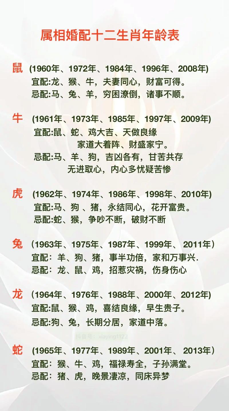 生肖算命