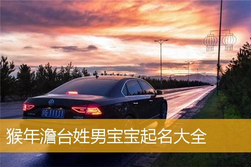 台姓猴年男宝宝名字